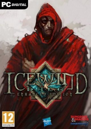 Icewind Dale: Enhanced Edition (2014)