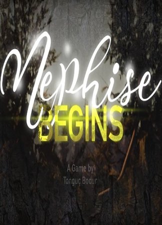 Nephise Begins (2017) PC | Лицензия