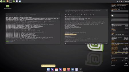 Linux Mint 32 bit и 64 bit русская версия