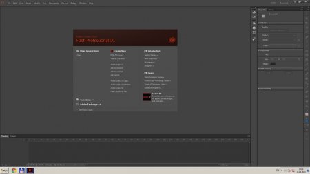 Adobe Flash Professional CC 15.0.0.173 крякнутый на русском 